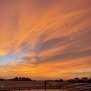水牛足迹的个人资料头像