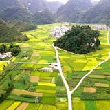 路答头像