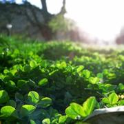 百里的守约的个人资料头像