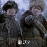 M马小帅头像