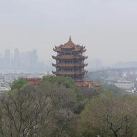 杉木说头像