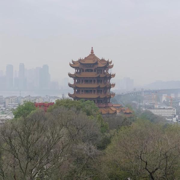 杉木说头像