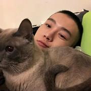 阿不up的个人资料头像