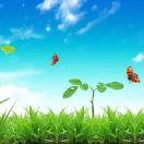 anny_叶子的个人资料头像