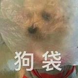 萝卜炖番茄头像