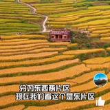 智者花生米头像