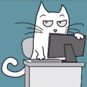 kiraraty的个人资料头像