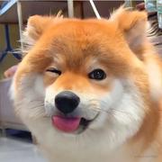 okayu的个人资料头像