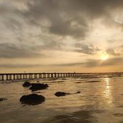 小黑不黑的个人资料头像