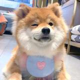 不归路头像