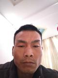小龙一要三七请联系我头像