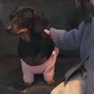 小陈小陈心想事成的个人资料头像