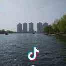 Yongfei头像
