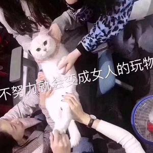 用户5159707880619头像