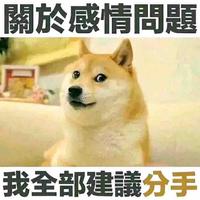 赤子惪骄傲头像