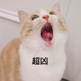 难言之强势头像