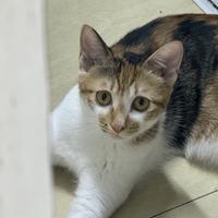 不想工作QAQ头像