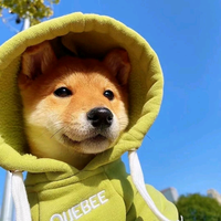 全是不头像