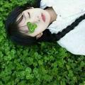 世间再无蓝莲花头像