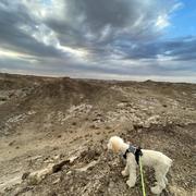 不要山583的个人资料头像