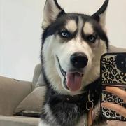 梦总会碎65的个人资料头像