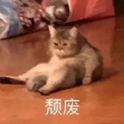 琳琳0905的个人资料头像