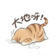 辰辰461的个人资料头像