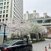 VENTI的个人资料头像