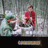 白山参头像