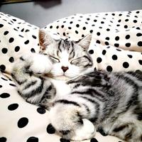 66號公路805头像