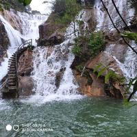 正大光明山雀WT3头像