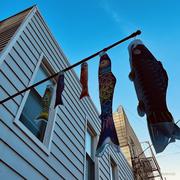 董刺客大刺客的个人资料头像