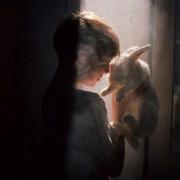 武桜的个人资料头像