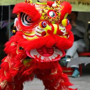 博学多才的舞狮少年头像