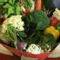 用户2038645076220头像