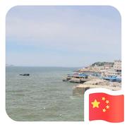 程序媛Tia的个人资料头像