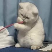 南城故梦丶的个人资料头像