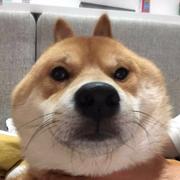 73kilos的个人资料头像