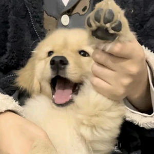 徐煜枫头像
