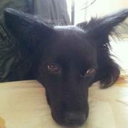 顏炯良的个人资料头像