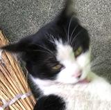 用户7968187343625头像
