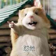迷路的辣条的个人资料头像