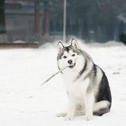 Jason568的个人资料头像