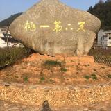 随风5006655181521头像