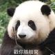 种田菌 · 宝马M4车主·车龄5年头像