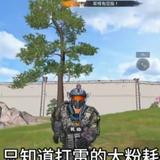 风PKV头像