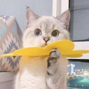 看她哭我笑了的个人资料头像