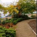 lusan45516622头像