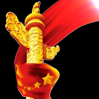 人民正义之反奸反谍头像