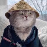 用户1783545555958头像